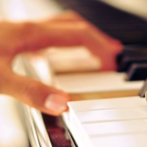 黄色片晚上网站
