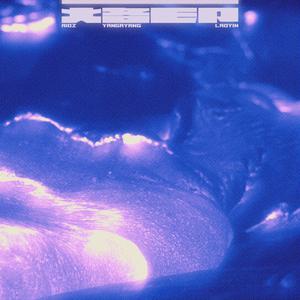 黄色片晚上网站
